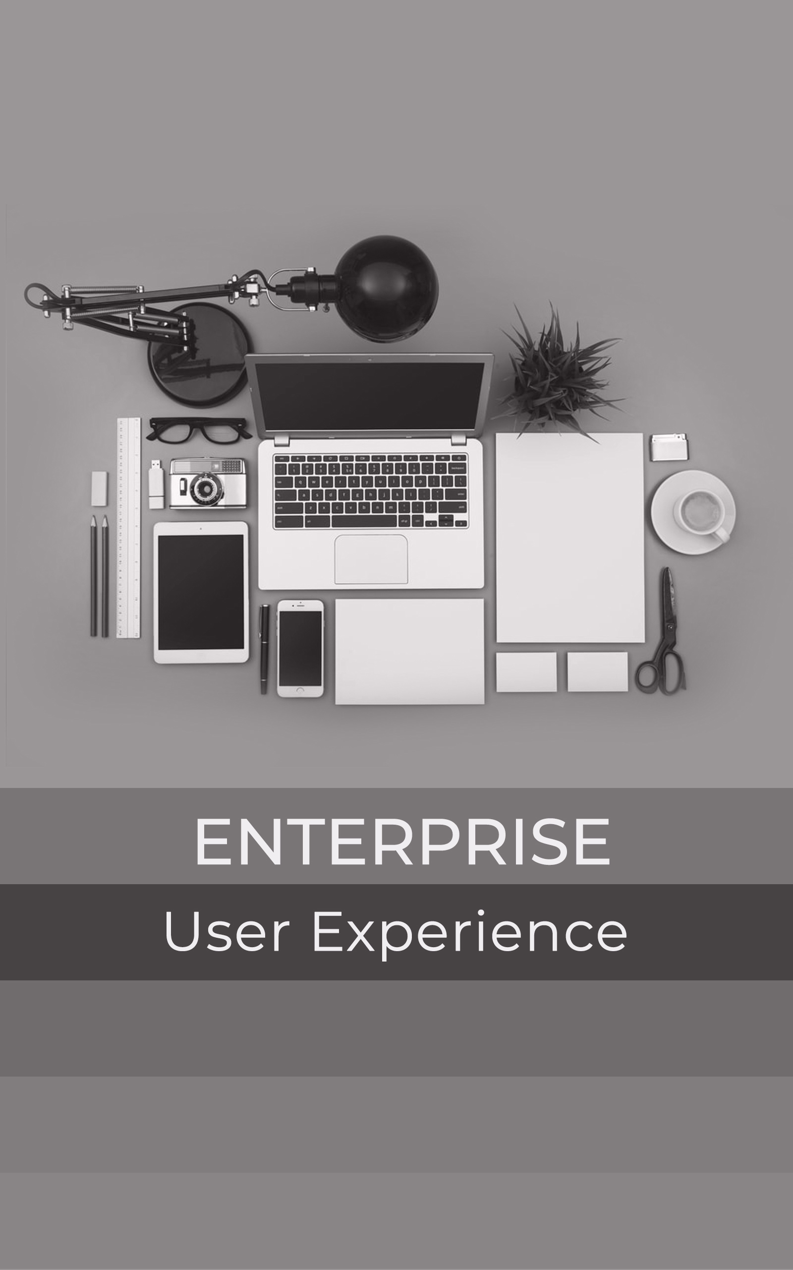 Enterprise UX